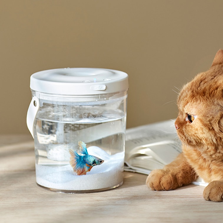 New Small Wireless Oxygenating Goldfish Tank for Desktop, Office, and Outdoor Use 9