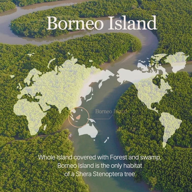 韓國 Mixsoon 素食潤唇膏 01透明色 4.1g 4