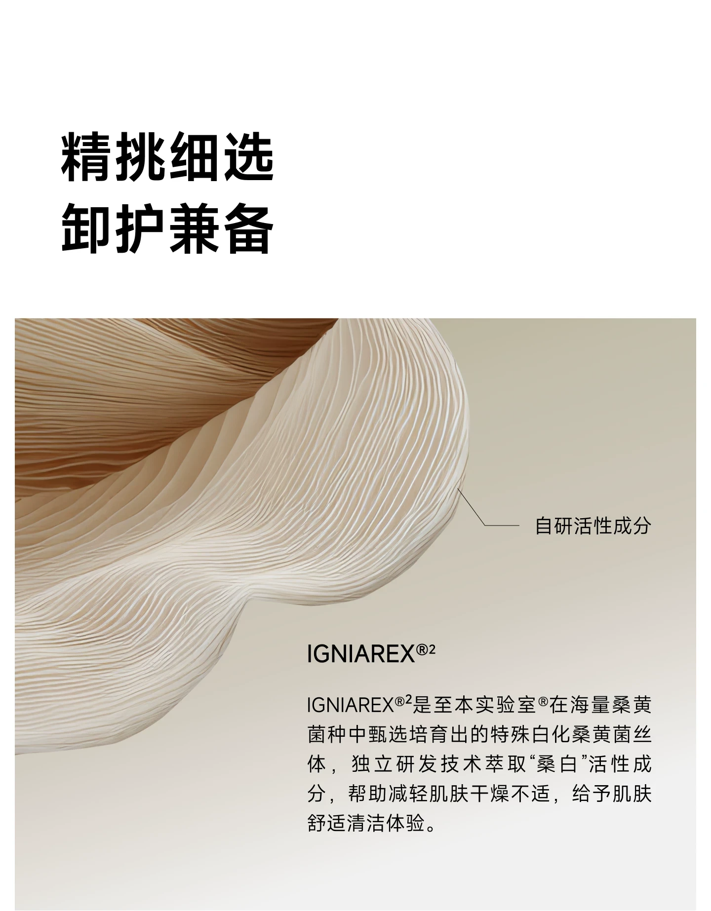 【中国直邮】 至本 舒颜修护卸妆膏温和洁净易乳化冲洗洁颜膏100g*1盒