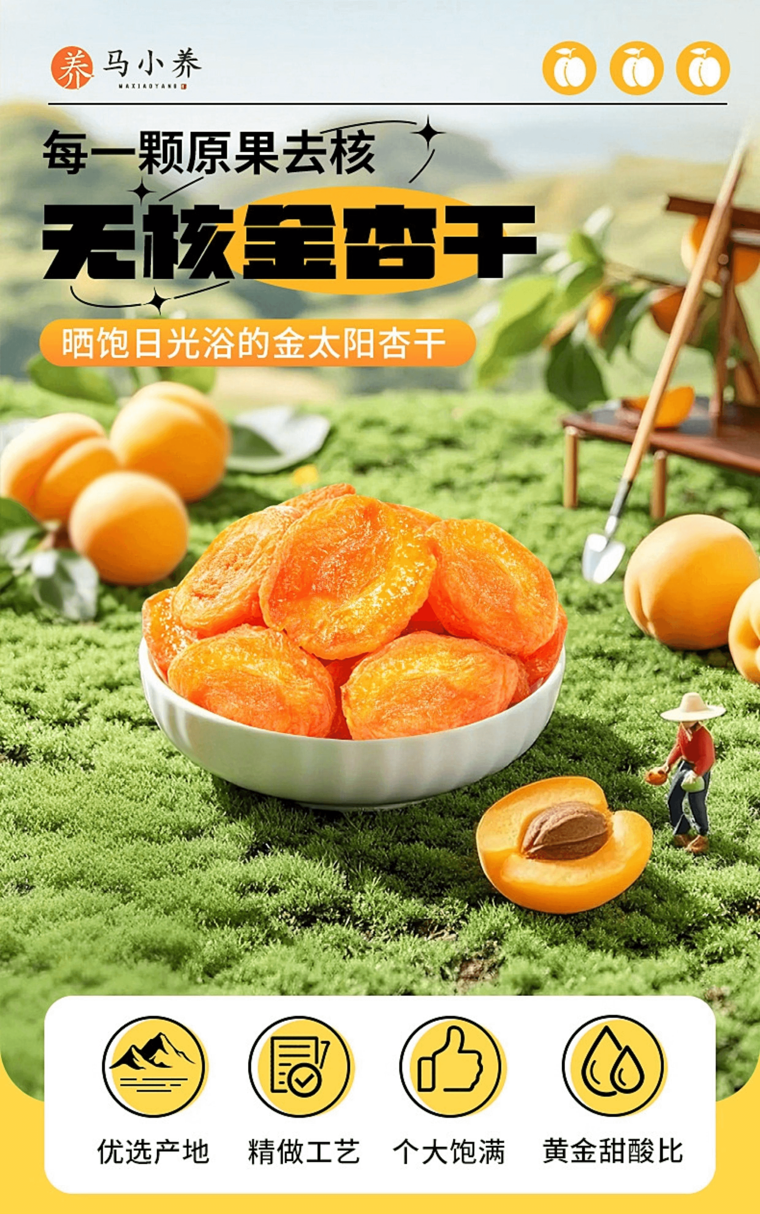 【中國直郵】 馬小養 無核倒蒸原果乾酸甜杏桃蜜餞零食農家酸杏乾條108g*1袋