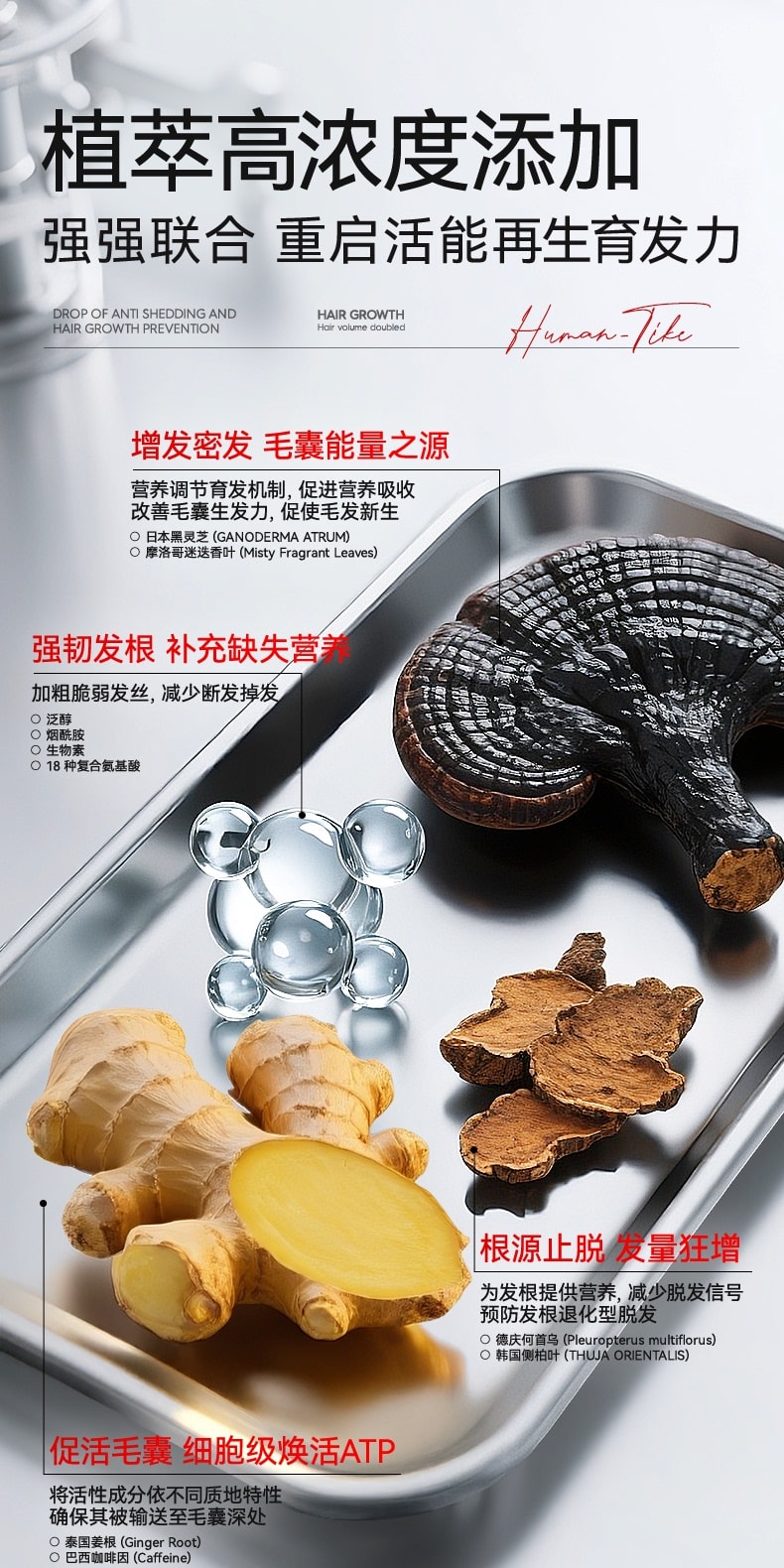 【中国直邮】 新加坡 Kuvive 生姜育发液 生长发增发密发头皮精华液头发护理剂发际线快速长 100ml/瓶