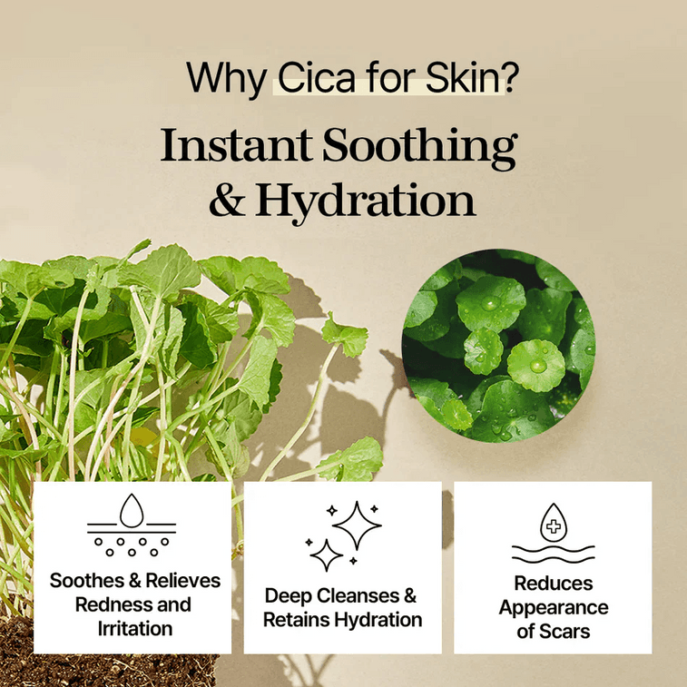 韓國 Mixsoon 積雪草爽膚棉片 230毫升 3