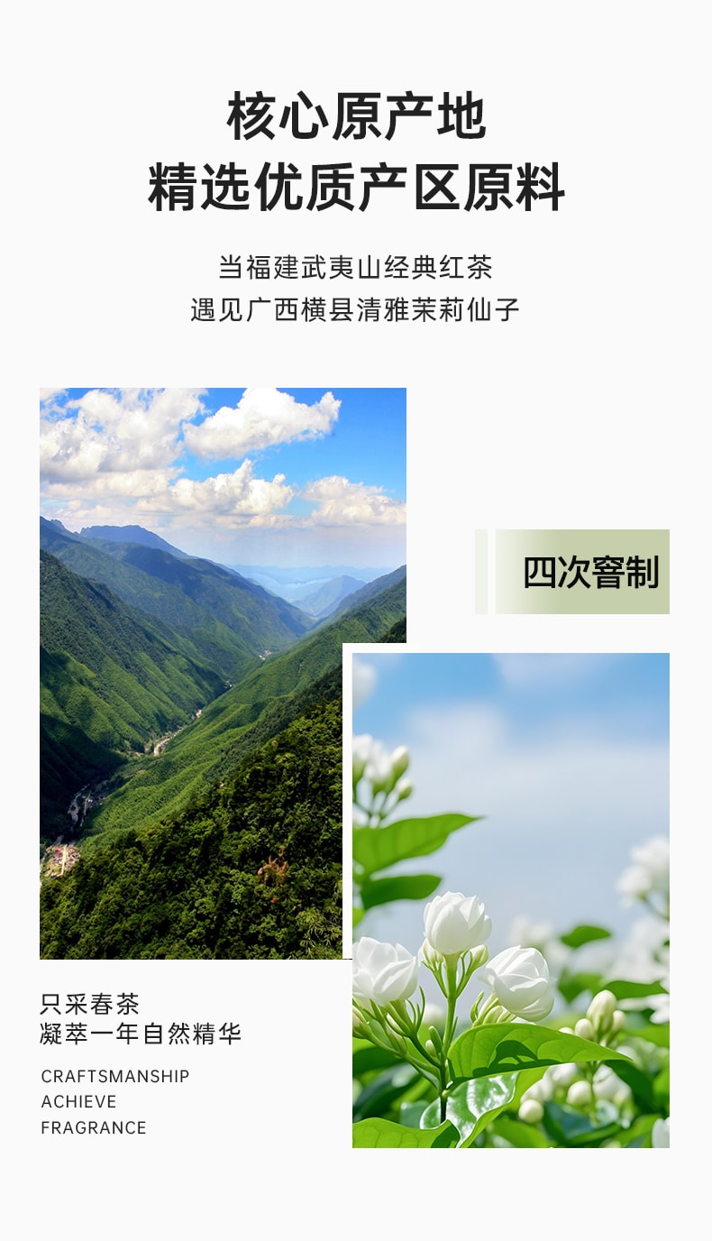 乐普山茶 茉莉花红茶茉染骏眉特级红茶武夷山养生茶罐装自饮送礼50g
