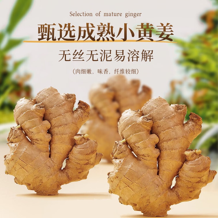 【中国直邮】 吉得利 生姜粉100g 袋装 羊杂汤鸡汤鲫鱼汤煲汤去腥提鲜调味粉料 4