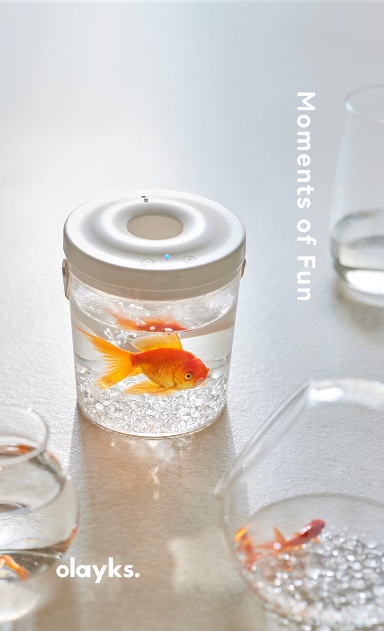 OLAYKS 魚缸新款小型桌上型工作便攜式戶外打氧無線注氧金魚缸