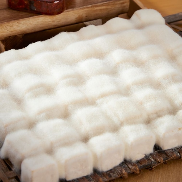 Wei Weng Fermented Bean curd Koji Powder, Household Stinky Tofu, Moldy Tofu, Hairy Tofu, Fermented Bacteria Powder 3g*10 packs 3