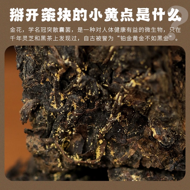 baishaxi 白沙溪 顷刻 茯砖茶 正規金花茯茶 安化黒茶缶入り ほぐし