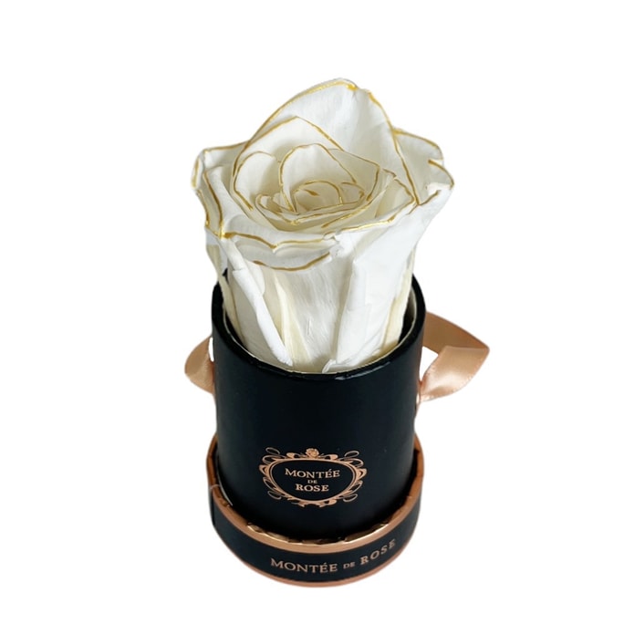 Black Mini Gold Pearl Everlasting Rose