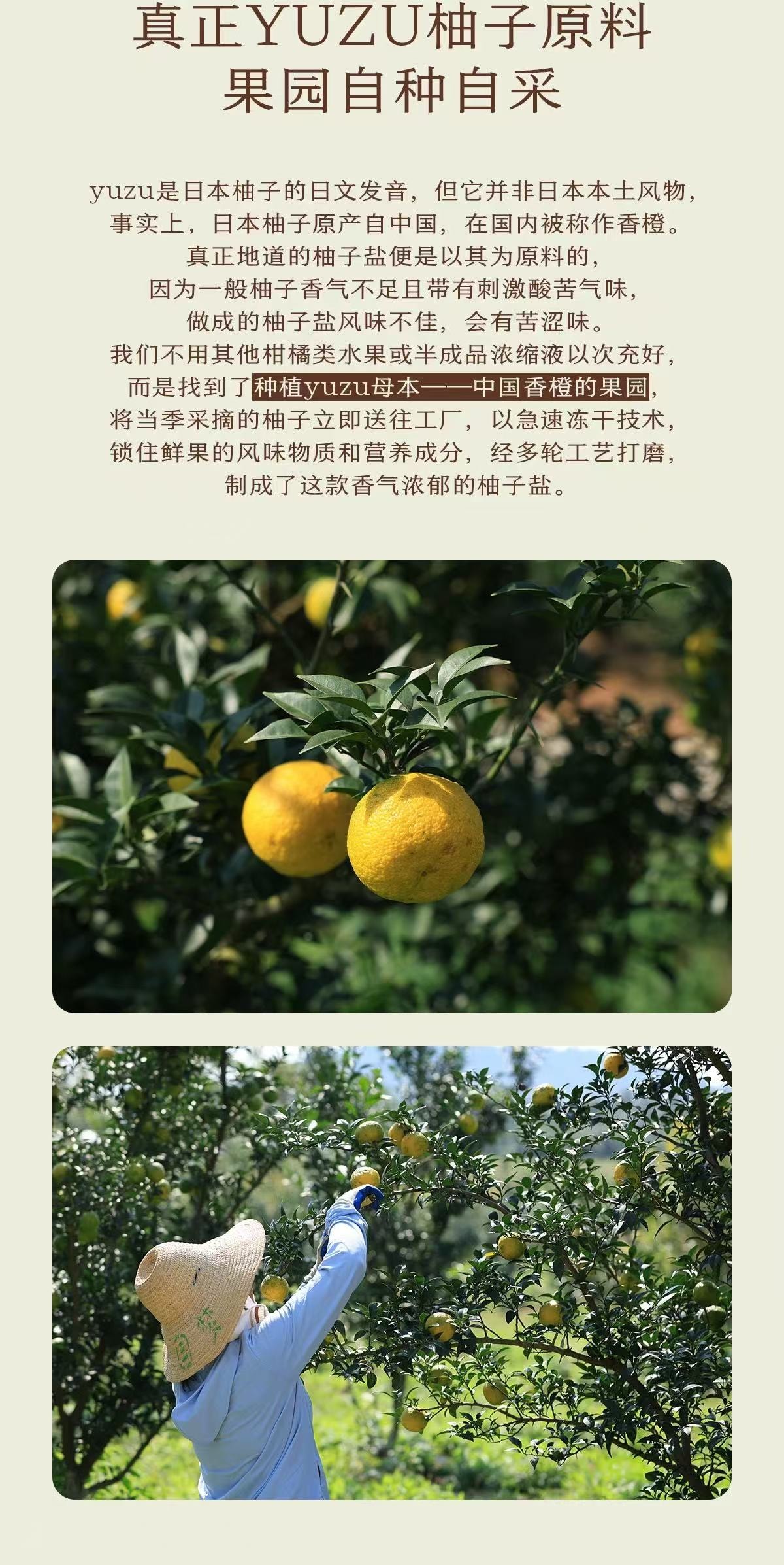 【中國直郵】 南食召 柚子鹽28g*1瓶 自研品質·料足香濃 自然柚香天婦羅烤肉蘸料撒料