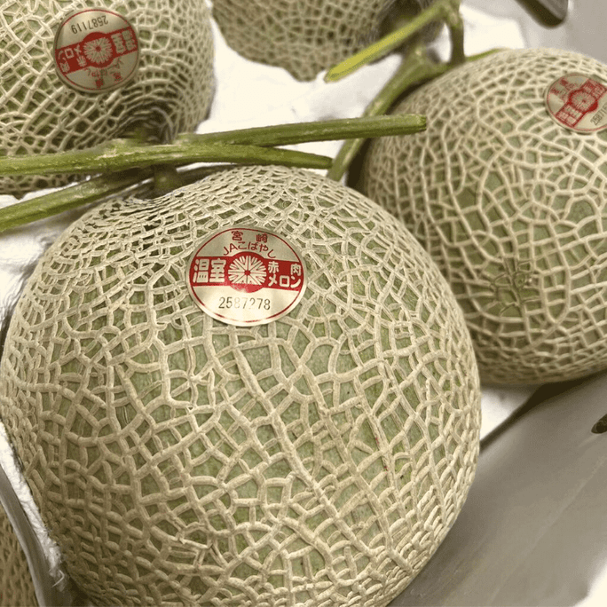 日本静冈县 产地直送 皇冠蜜瓜 1个3磅 周四4.14发货