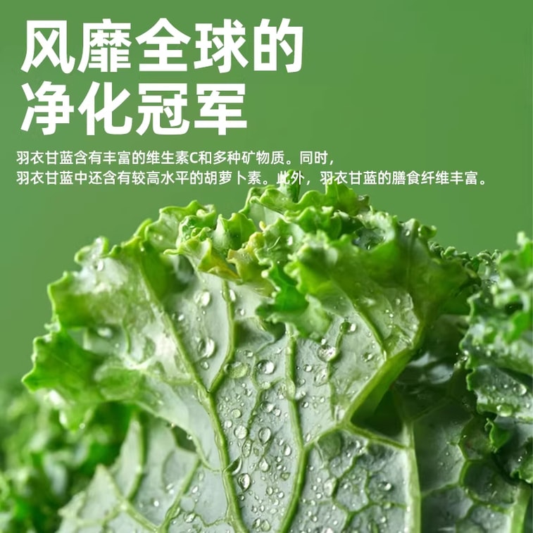 北京同仁堂高膳食纤维高饱腹奇亚籽羽衣甘蓝粉100g减肥瘦身代餐食品【500目超细打粉、口感细腻】坚持30天还你一个小蛮腰 4