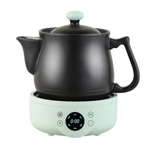 Electric Health Tea Ceramic Pot 3.0L Light Green
