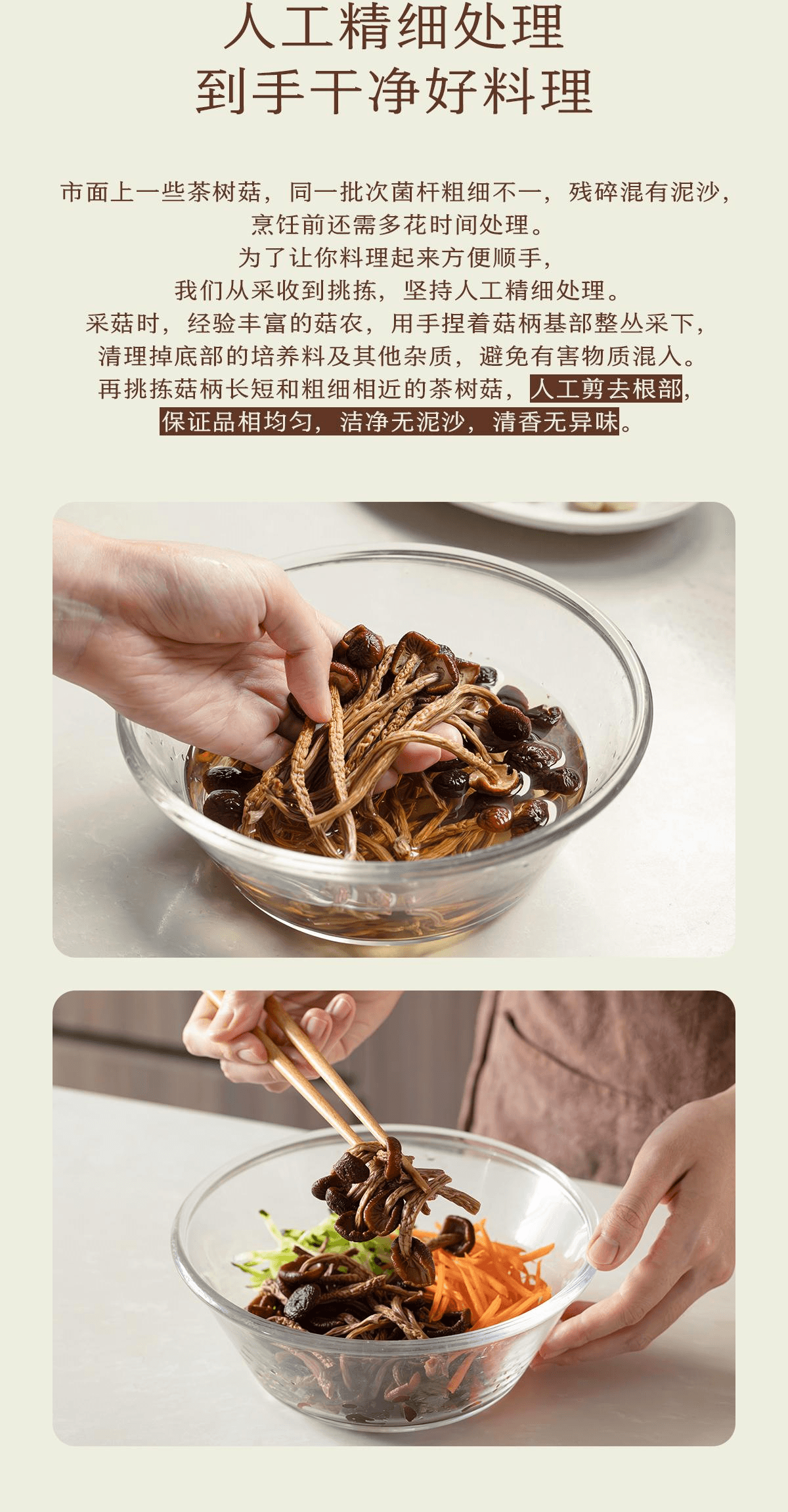 【中國直郵】 南食召 茶樹菇菌香鮮濃嫩滑新鮮茶樹菇乾貨菌菇80g*1袋