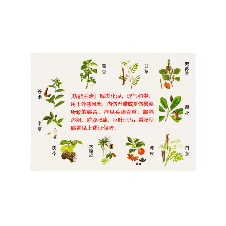 Pogostemonis Herbal Mixture - Traditional Treatment of Inflammation-related Disorders 10ml*10 4