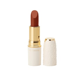 CEZANNE Long-lasting Moisturizing Lipstick 4.2g #505