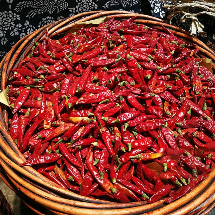 【中国直邮】 元气绿洲 干辣椒 干货卤料炖卤料香料调料 50g*1瓶 3