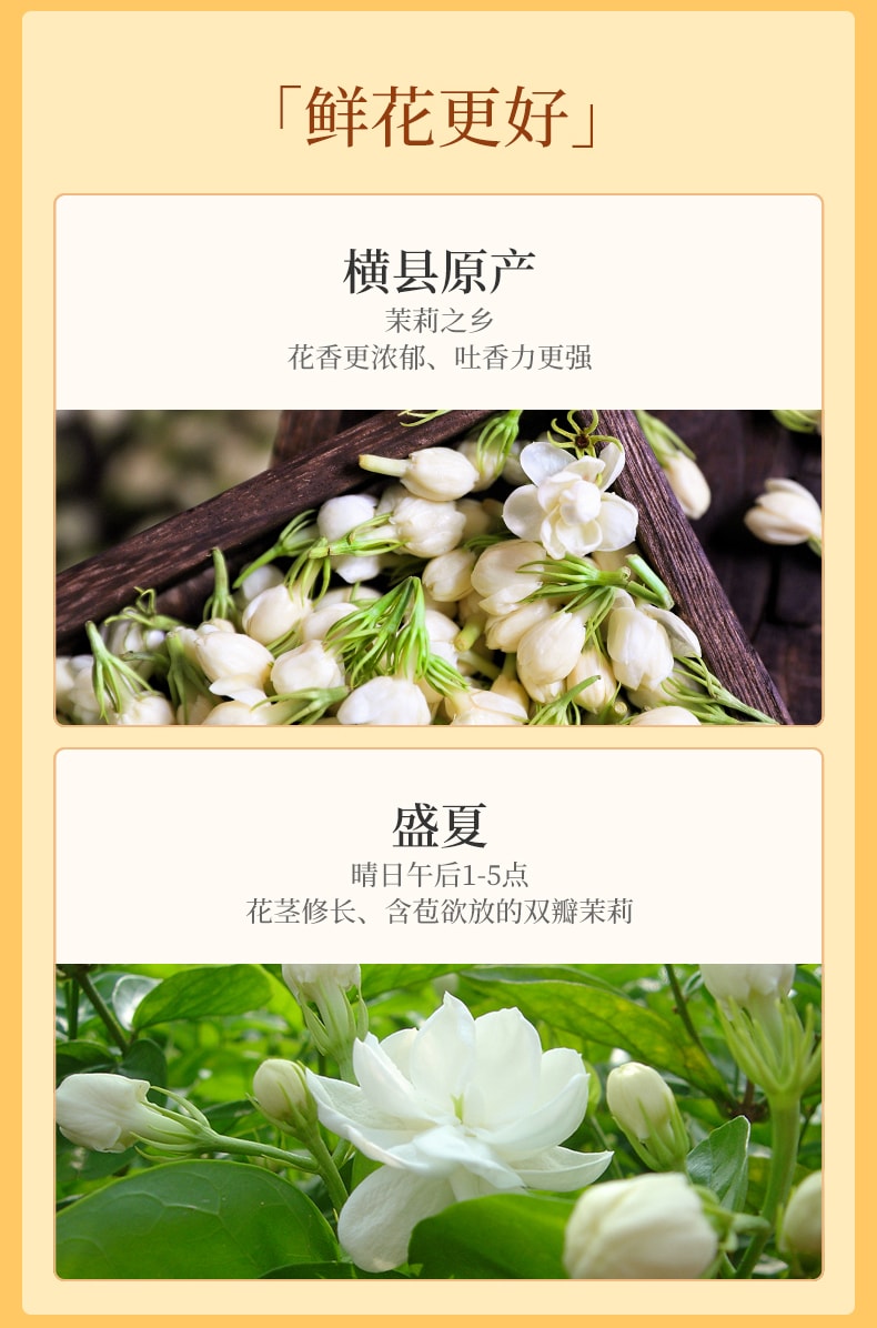  祥源茶 【美國現貨秒發】茉莉祁門紅茶 特一級核心小產區 多次窨製 純正花香 不加香精 醇厚甘甜 芬芳下午茶 優雅早茶 150g