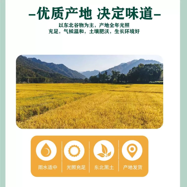 진시후이 셀렉티드 치앙구 [동북 옥수수죽] 즉석 아침 식사 대용 통곡물 30g*5팩 4