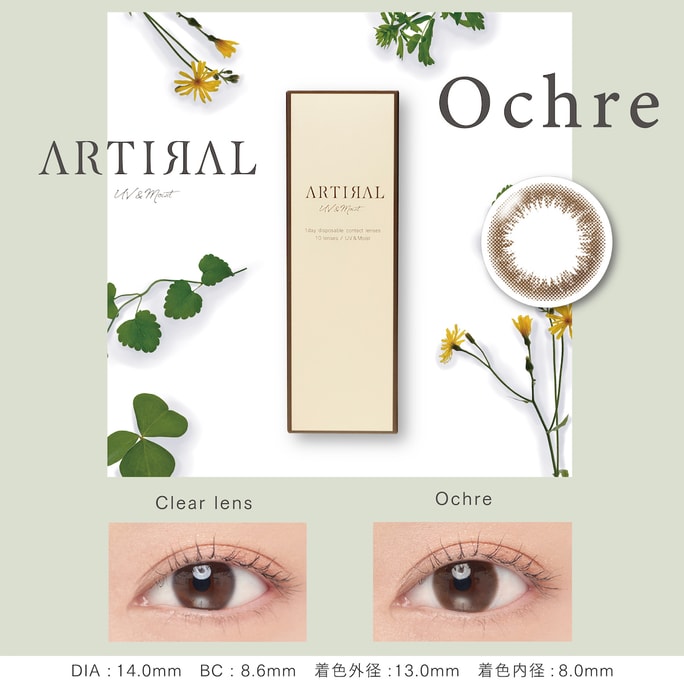 【日本直邮】Artiral UVM 日抛美瞳 抗UV 10片 Ochre 知性明亮褐(棕色系）着色直径13.0mm 预定3-5天日本直发 度数0
