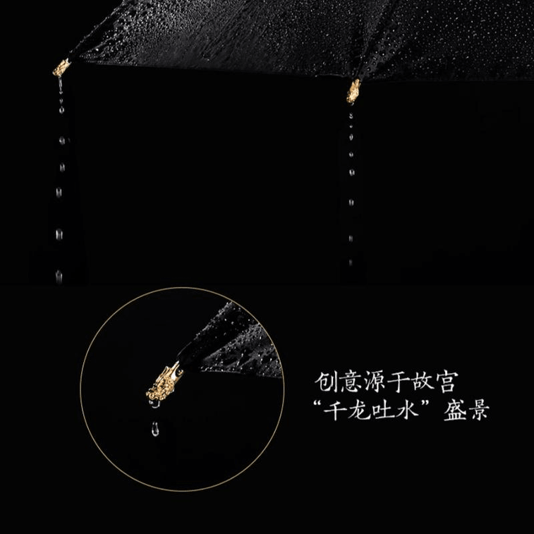 Dragon Rain Umbrella *1 Box 3