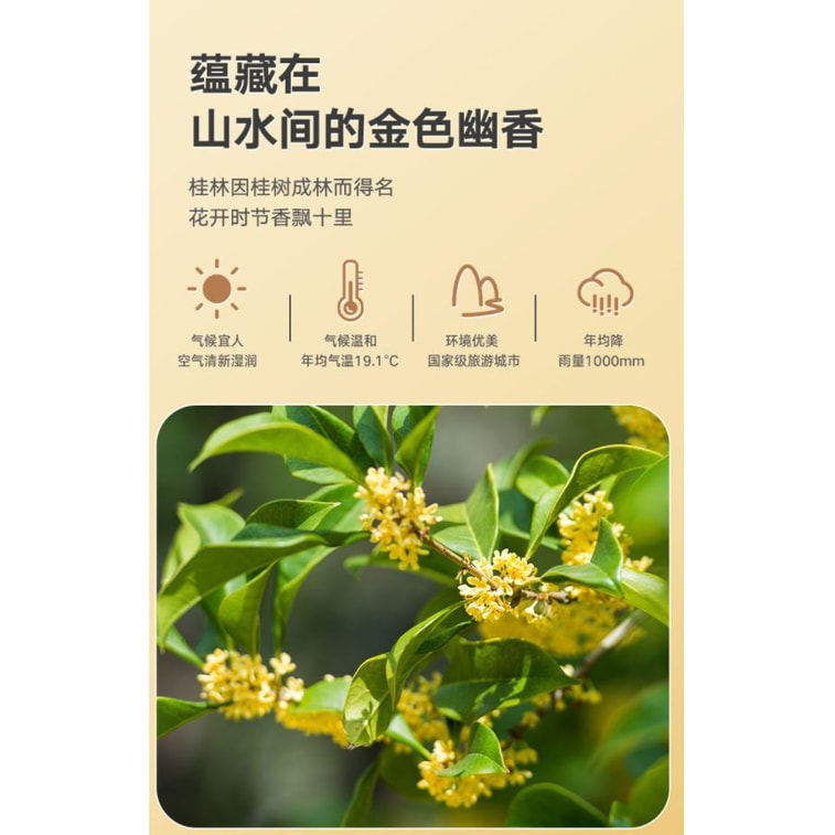 미국 Xulongxing 향차 한약재 특급 무황 및 무표백 동결 건조 특급 광시 건조 계수나무 4oz 113g 6