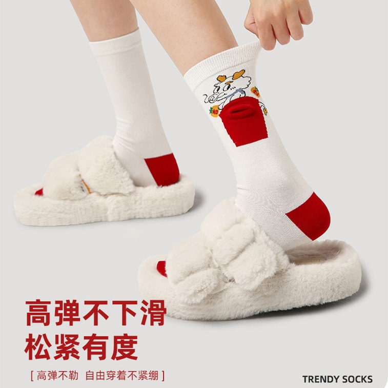 [中国から直送] HSPM 新年 レッドソックス ギフトボックス - ドラゴン年 ミドルカーフソックス、新しい冬のトレンドの赤いレディースソックス、縁起の良い新年 F ソックス (5足セット) 7