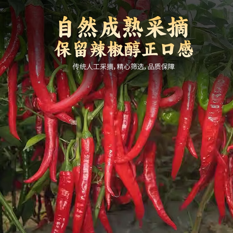 【中國直郵】 魏爾夫 新疆辣皮子線椒(中辣) 500g 6