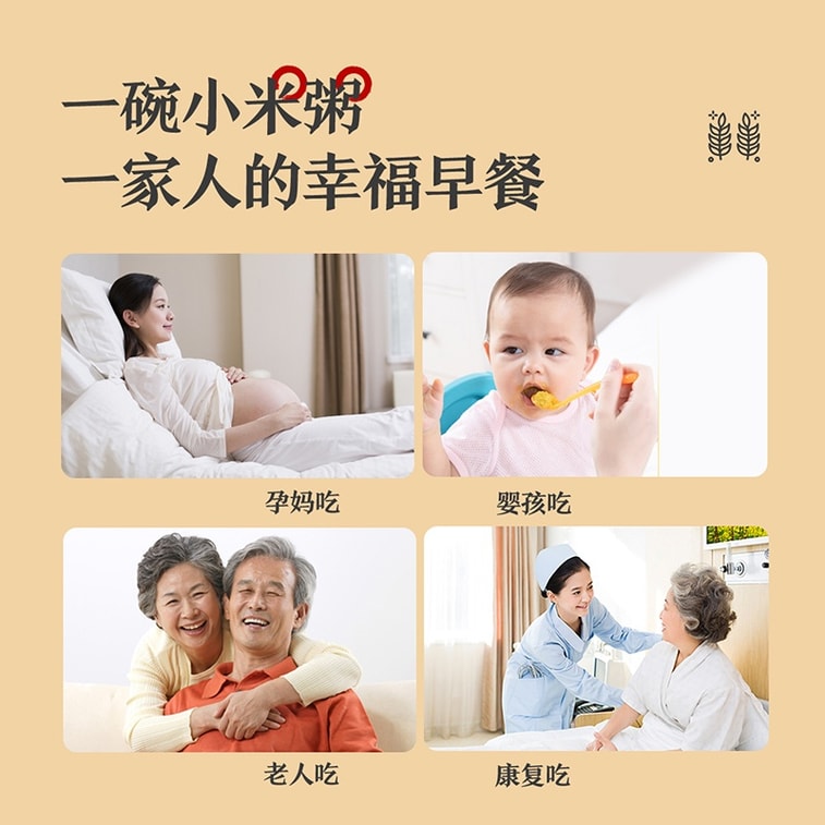 【中国直送】呉格老 欽州黄粟、山西省特産、収穫したての米、500g（50g×10パック）、粟粥の材料、雑穀 7