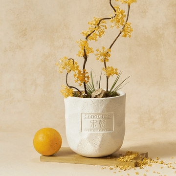 宋朝 昆仑系列香薰蜡烛 室内家用持久高级卧室香氛 山间桂语