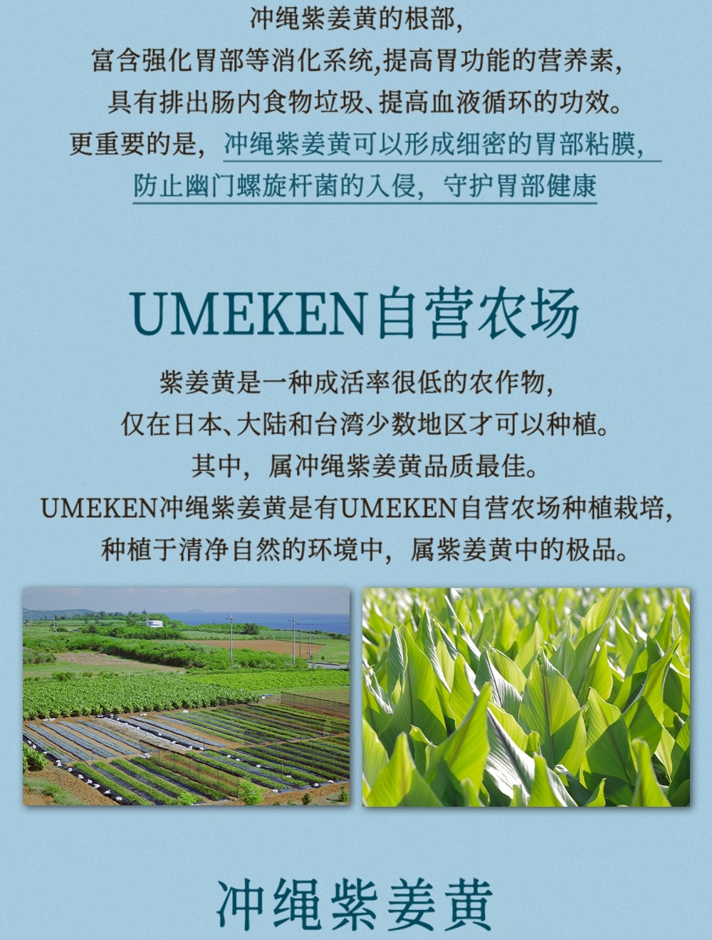 日本 UMEKEN 冲绳紫姜黄添加消化酵素 30包【外卖星人的养胃小救星🍱💊】【上班族的隐形护胃宝】【冲绳人长寿的秘密🌴拯救重口胃胀日常】【外食族必备】