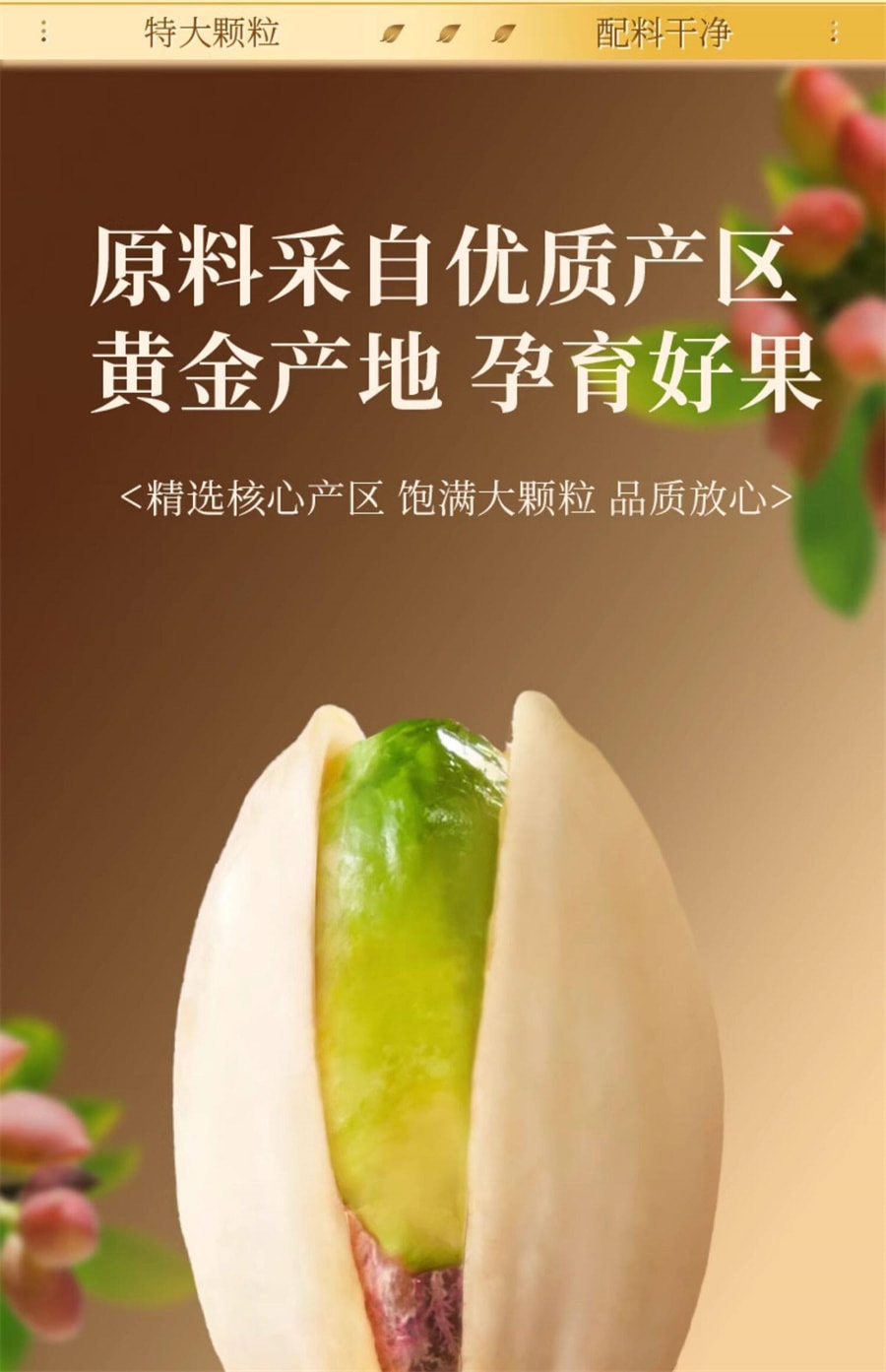 【中國直郵】 老街口 開心果 堅果炒貨原味乾果健康孕婦休閒量販零食新貨250g/袋