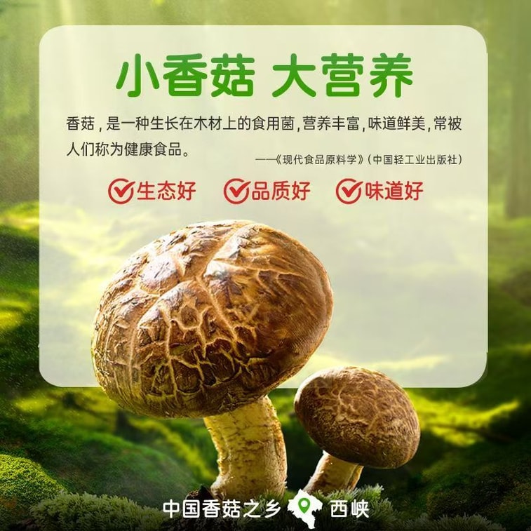 仲景 原味即食香菇酱 菌菇新鲜厚实 颗粒饱满 10袋分装 家庭菜拌饭配粥夹馍 160g 航空特供 美味百分百 5