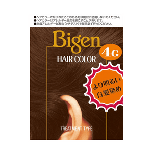 Bigen Hair Color [1box]