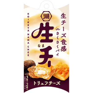 【日本直邮】 日本 湖池屋 生巧克力系列松露芝士味 27g