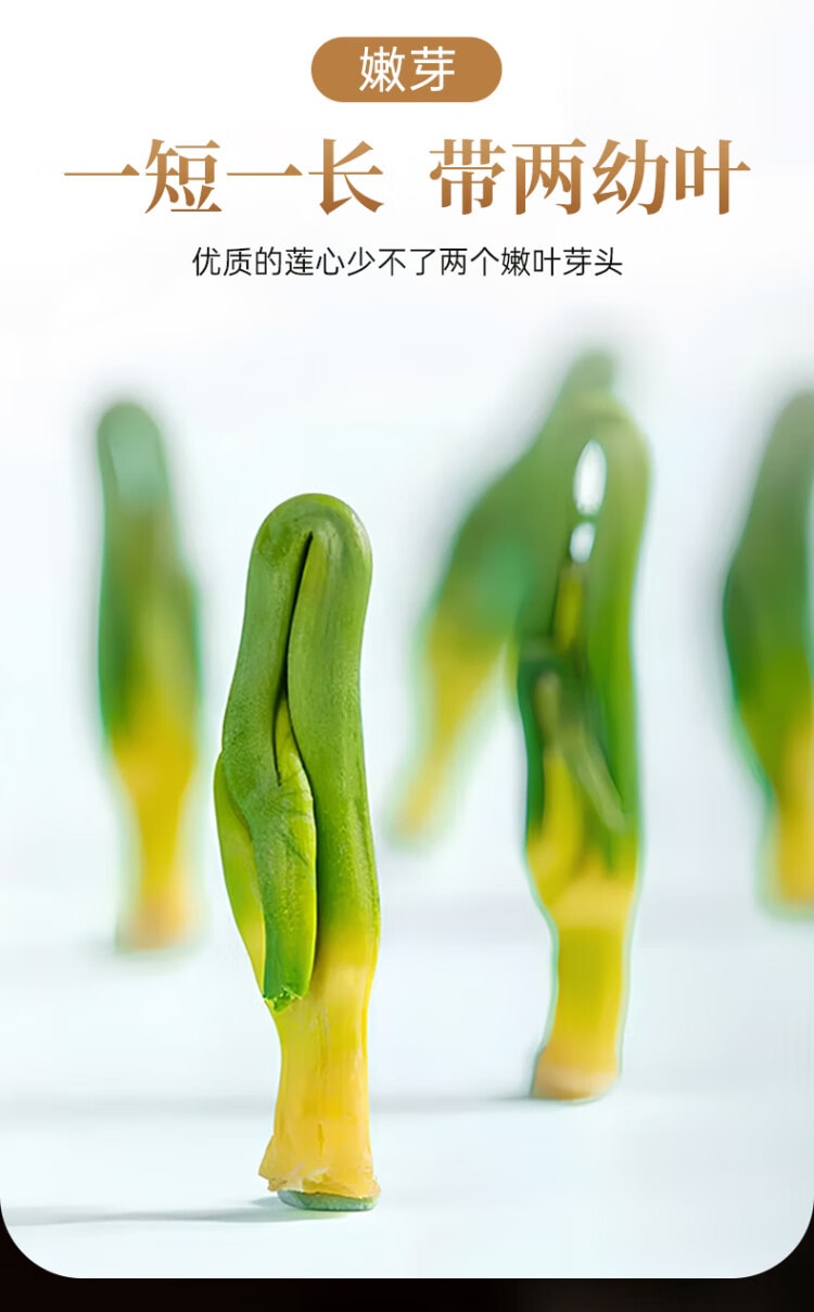 雷允上 当季新采莲子心嫩芽100g 山东无污染区域新鲜莲子心茶当季新货莲子芯干货 莲子心去心火养生茶 花草茶清热去火解毒【熬夜喝酒舌尖溃疡人群必备】