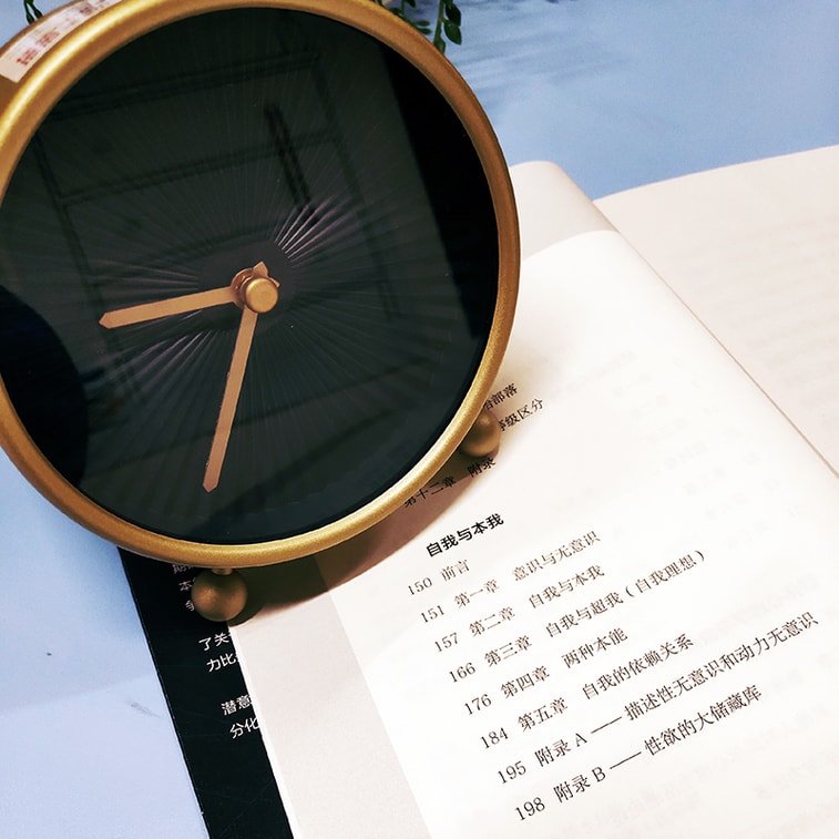 自我与本我(2019全新译作,未删节) 5