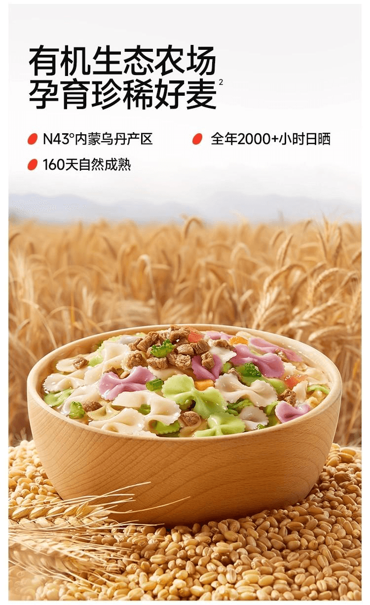 【中国直邮】 秋田满满 蝴蝶面婴儿无添加盐果蔬有机面条混合口味160g*1袋