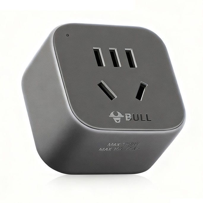 The Travel Adapter For USA  Black Color 1pc