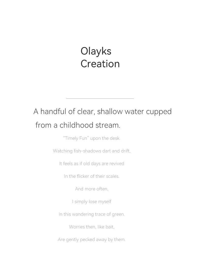 OLAYKS 魚缸新款小型桌上型工作便攜式戶外打氧無線注氧金魚缸