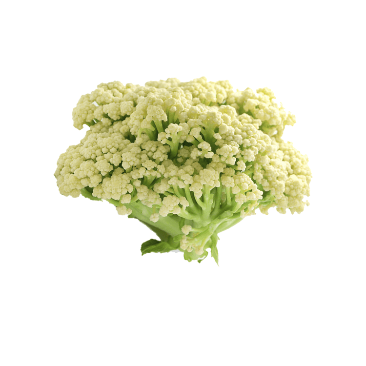 台山菜花1.8 - 2.2磅- 亚米