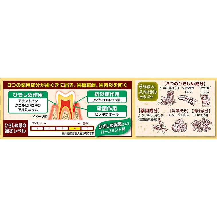 【日本直邮】 日本 KOBAYASHI小林制药 小林制药 生叶天然植物牙膏 有效防止牙周炎 清新口气 黄色装 100g 3