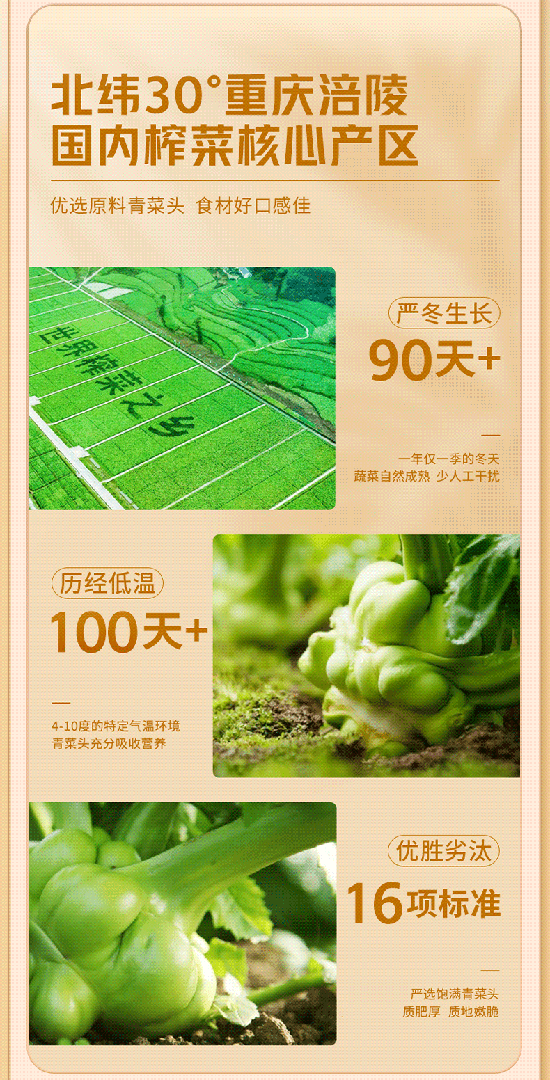 【中國直郵】 烏江 榨菜絲下飯菜鹹菜醬菜涪陵榨菜即食微辣清淡鮮脆口味隨機發 2*30克