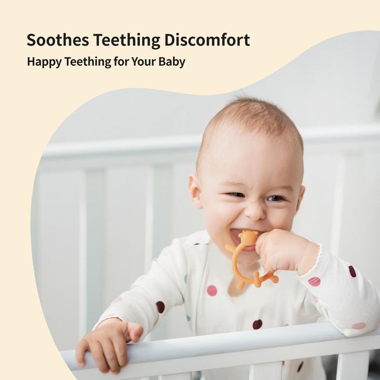 日本 PIGEON贝亲  牙胶婴儿磨牙咬咬胶咬握硅胶安抚宝宝  抿抿熊3个月+ 7