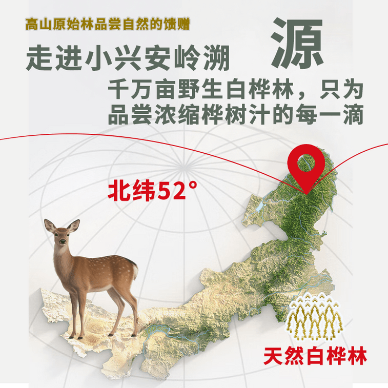 華薬堂 白樺樹液 50ml*6本 0糖 100%ストレート 美容スキンケア 抗酸化 高血圧予防 血糖値低下【10倍濃縮】 5