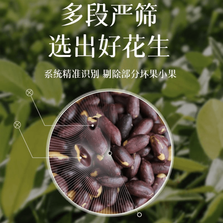 춘왕 땅콩 스낵, 오향 볶은 셀레늄 강화 흑피넛, 108g/봉지 3