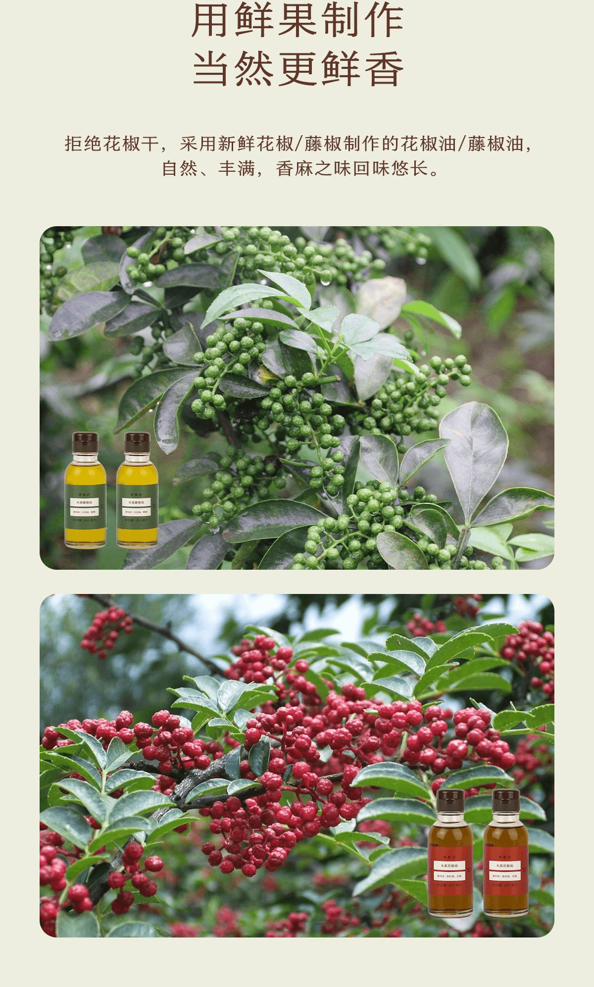 【中國直郵】 南食召 本真藤椒油正宗四川麻椒油安心香麻160ml*1瓶