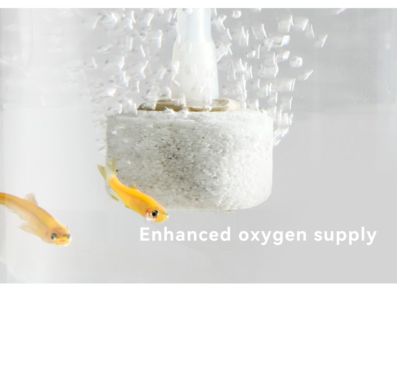 OLAYKS 魚缸新款小型桌上型工作便攜式戶外打氧無線注氧金魚缸