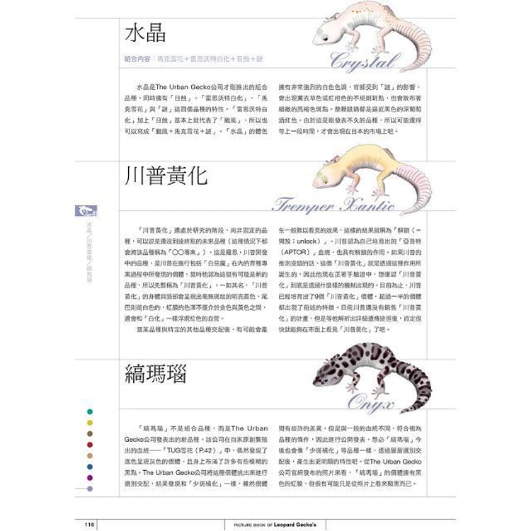 繁體 豹紋守宮超圖鑑 一本掌握守宮生態及品種解析 亚米