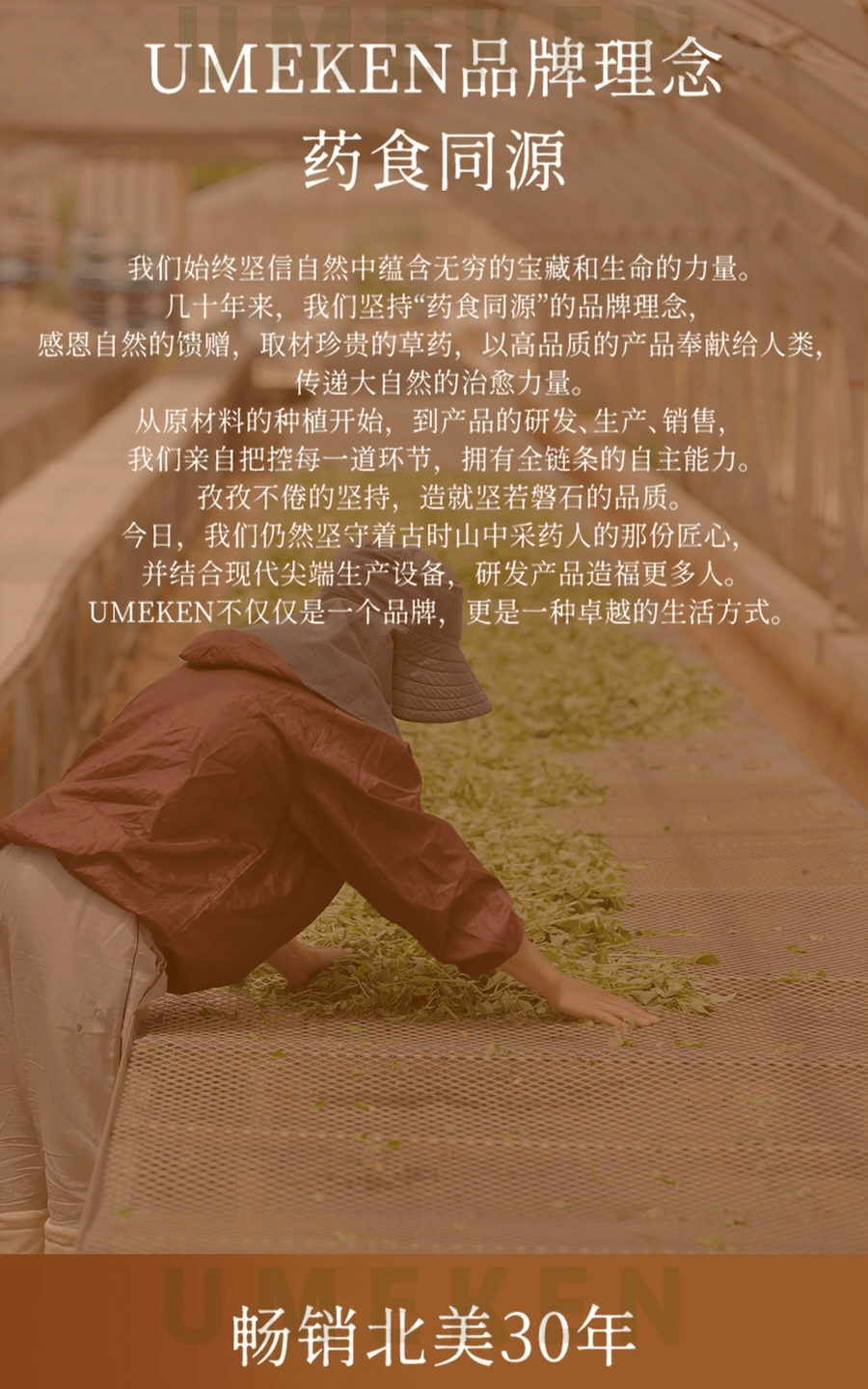 日本 UMEKEN 【產】 纳豆激酶(添加褐藻糖胶) 96克 【5000FU强效通血管】【溶栓护心脑 】【预防中风脑卒中必备🧠 】【改善三高×降血压】【中老年人日常血液循环管理必入🧬🫀】