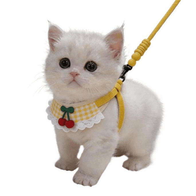 Breathable Anti-Escape Cat Harness & Leash, For 8-16 Lbs, Bread Yellow, 1pc
